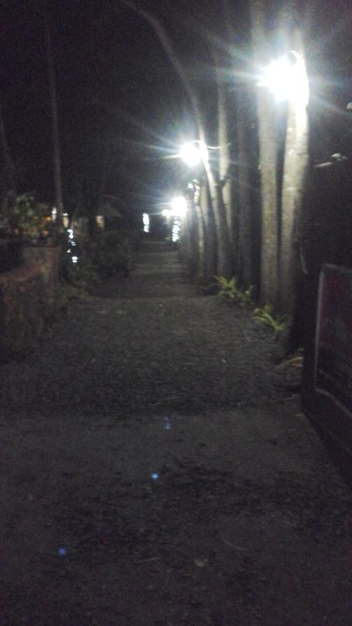 Larmar Bed And Breakfast Puerto Princesa Esterno foto